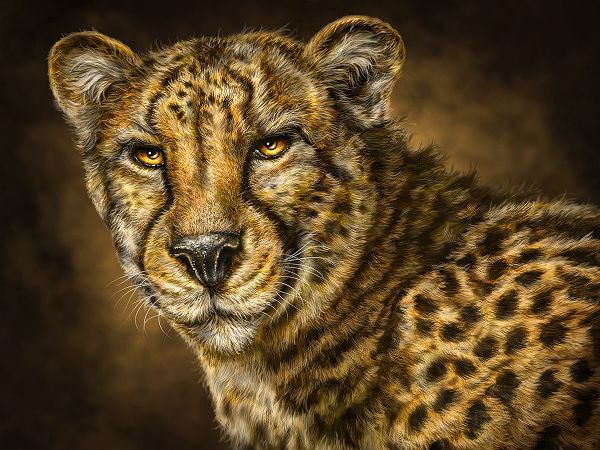 LaMontagne, Patrick 아티스트의 Cheetah작품입니다.