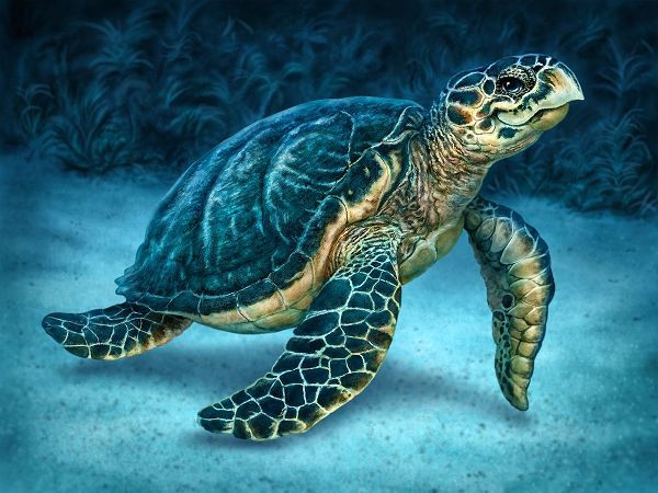 LaMontagne, Patrick 아티스트의 Sea Turtle작품입니다.
