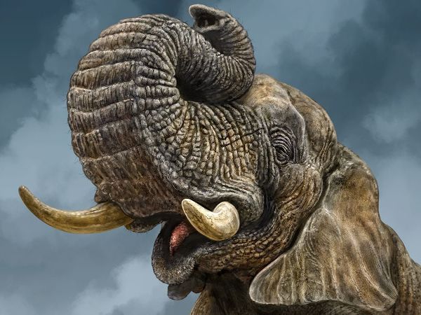 LaMontagne, Patrick 아티스트의 African Elephant작품입니다.