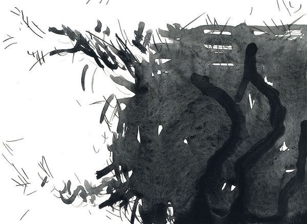 Randy Noble Fine Art 아티스트의 Chaos작품입니다.