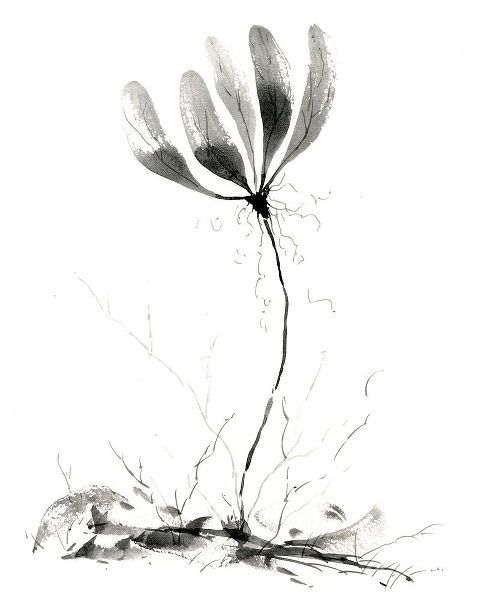 Randy Noble Fine Art 아티스트의 Spring Flower작품입니다.