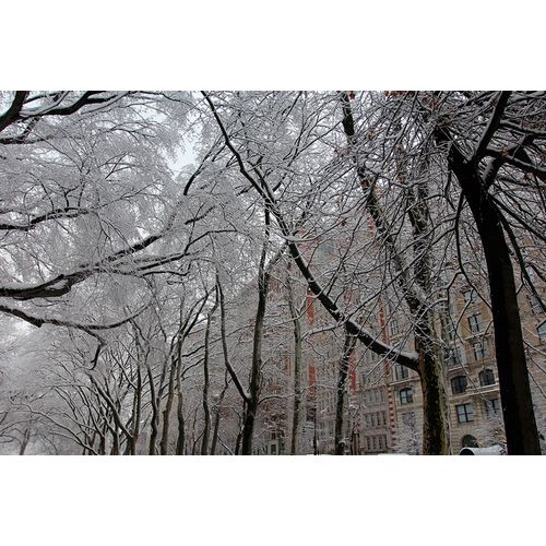 Goldwitz, Robert 아티스트의 Snow Covered Trees Apartments작품입니다.