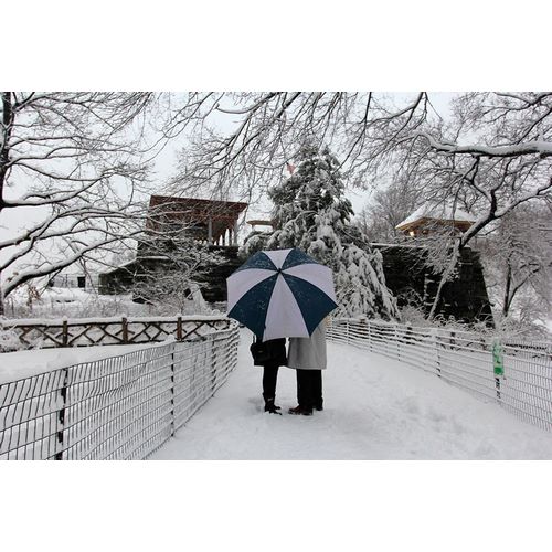 Goldwitz, Robert 아티스트의 Central Park Couple In The Snow작품입니다.