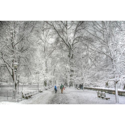 Goldwitz, Robert 아티스트의 Riverside Park snow walk작품입니다.