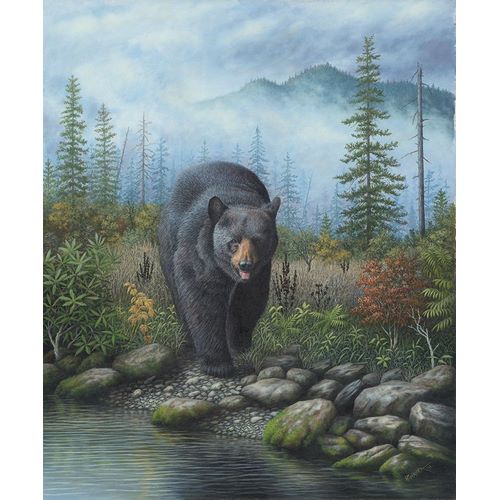Wavra, Robert 아티스트의 Smoky Mountain Black Bear작품입니다.