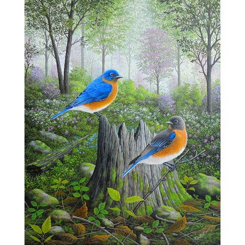 Wavra, Robert 아티스트의 Spring Bluebirds작품입니다.