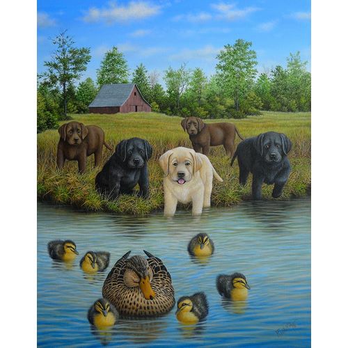 Wavra, Robert 아티스트의 Puppies And Ducklings작품입니다.