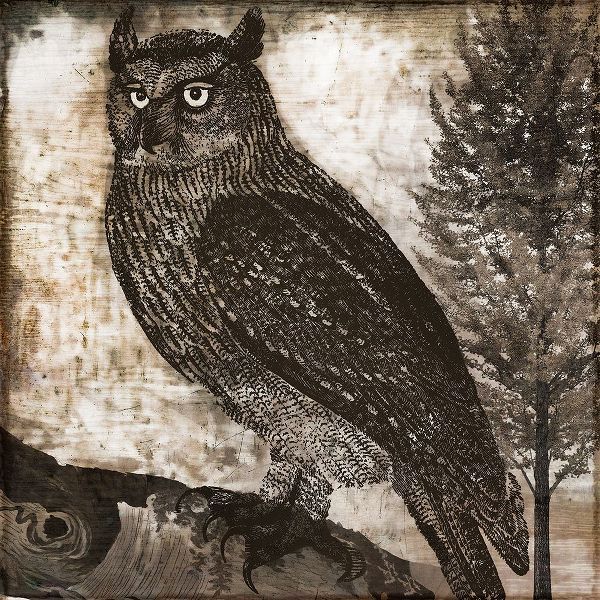 Sasha 아티스트의 Owl 2작품입니다.
