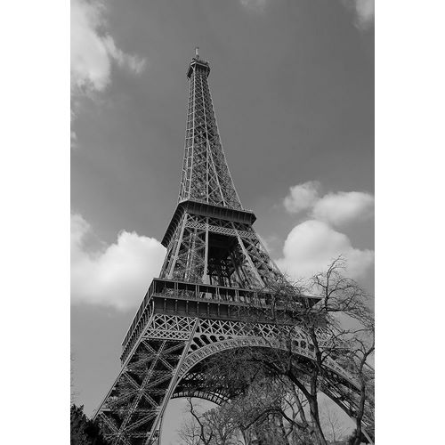Susan Vizvary Photography 아티스트의 Eiffel To The Sky작품입니다.