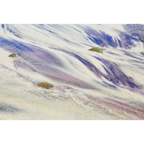 Susan Vizvary Photography 아티스트의 Purples and Sand of Big Sur작품입니다.