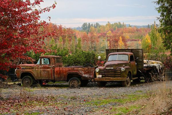 Susan Vizvary Photography 아티스트의 2 Autumn Vintage Trucks작품입니다.