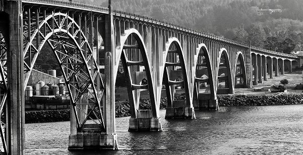 Susan Vizvary Photography 아티스트의 Oregon Bridge in Black and White작품입니다.