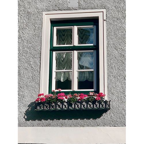 Susan Vizvary Photography 아티스트의 Green Window Flowerbox Black and White작품입니다.
