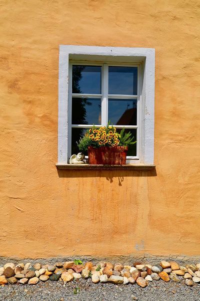Susan Vizvary Photography 아티스트의 Single Window with Flowerbox작품입니다.