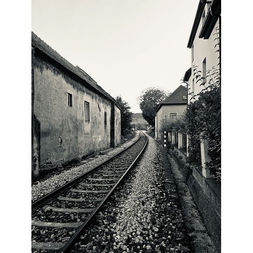 Susan Vizvary Photography 아티스트의 Train Tracks in Black and White작품입니다.