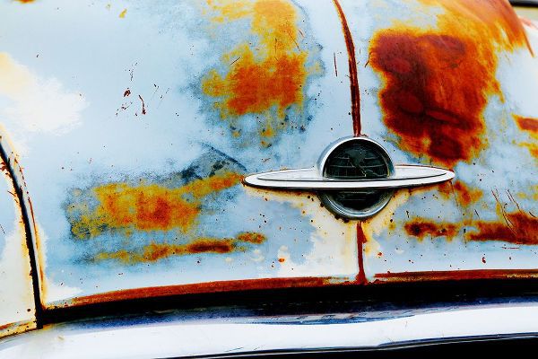 Susan Vizvary Photography 아티스트의 Vintage Oldsmobil Front작품입니다.