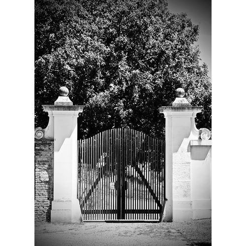 Susan Vizvary Photography 아티스트의 Wooden Gate Black and white작품입니다.