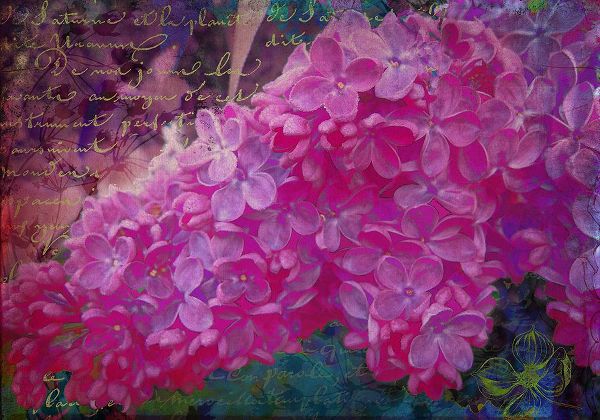 Lavoie, Tina 아티스트의 Vintage Lilacs작품입니다.