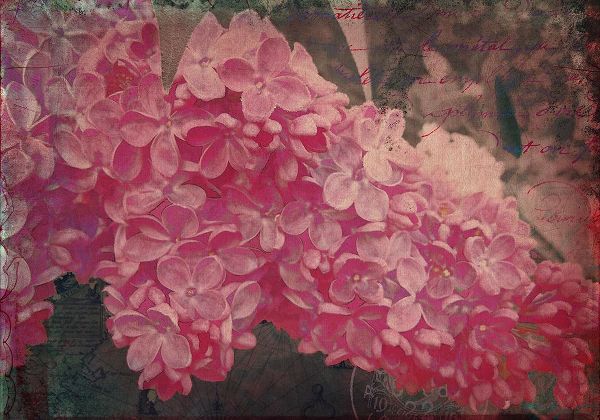 Lavoie, Tina 아티스트의 Vintage Lilacs Deux작품입니다.
