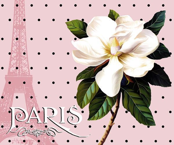 Lavoie, Tina 아티스트의 Paris Magnolias II작품입니다.
