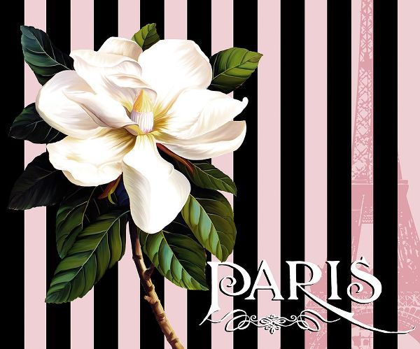 Lavoie, Tina 아티스트의 Paris Magnolias IV작품입니다.