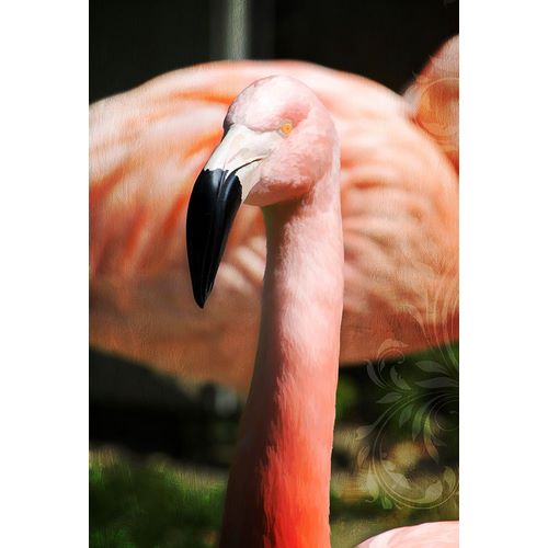 Lavoie, Tina 아티스트의 Pink Flamingo II작품입니다.