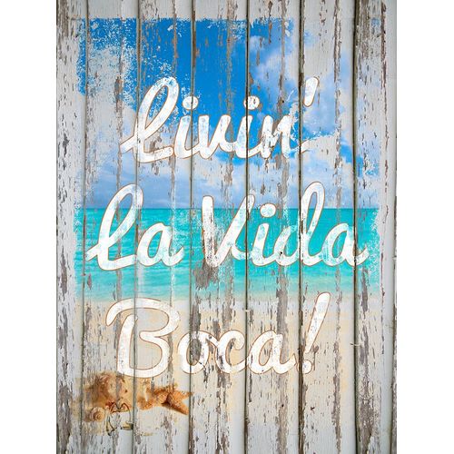 Lavoie, Tina 아티스트의 Livin La Vida Boca작품입니다.