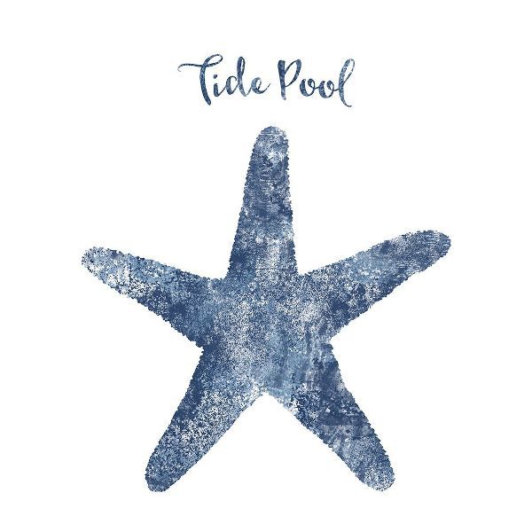 Lavoie, Tina 아티스트의 Starfish Tide Pool작품입니다.