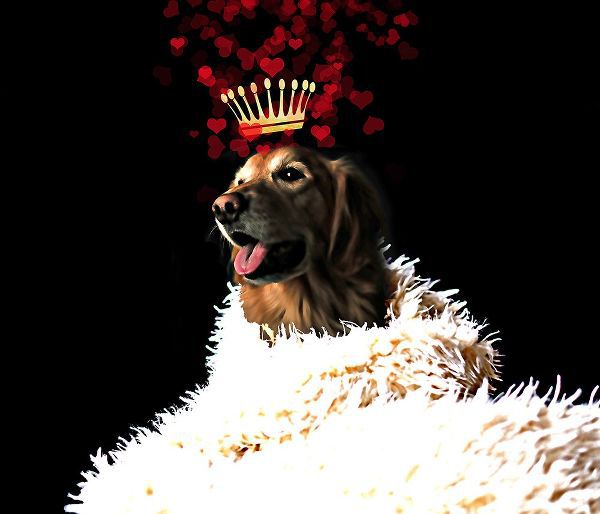 Lavoie, Tina 아티스트의 Royal Love Pup - Golden Retriever작품입니다.