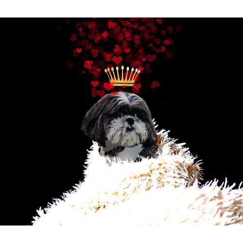 Lavoie, Tina 아티스트의 Royal Love Pup - Shi Tzu작품입니다.