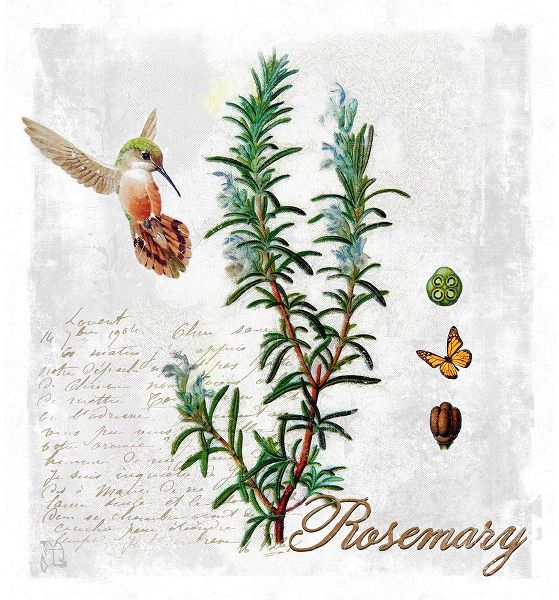 Lavoie, Tina 아티스트의 Botanical Garden Rosemary Herb작품입니다.