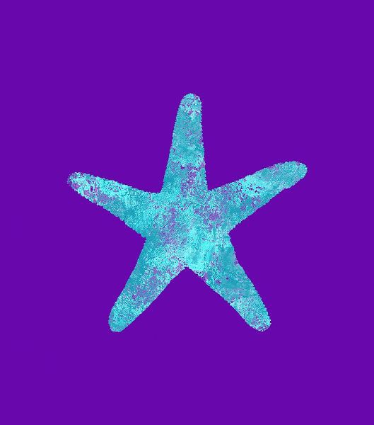 Lavoie, Tina 아티스트의 Sponge Sea Star Aqua작품입니다.