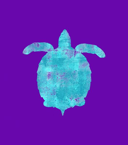 Lavoie, Tina 아티스트의 Sponge Turtle Aqua작품입니다.