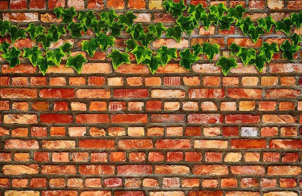 Lavoie, Tina 아티스트의 Brick Wall and Ivy작품입니다.