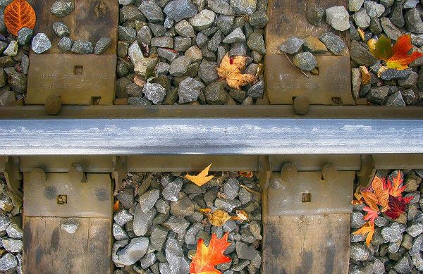 Lavoie, Tina 아티스트의 Old Montreal Railroad Tracks작품입니다.