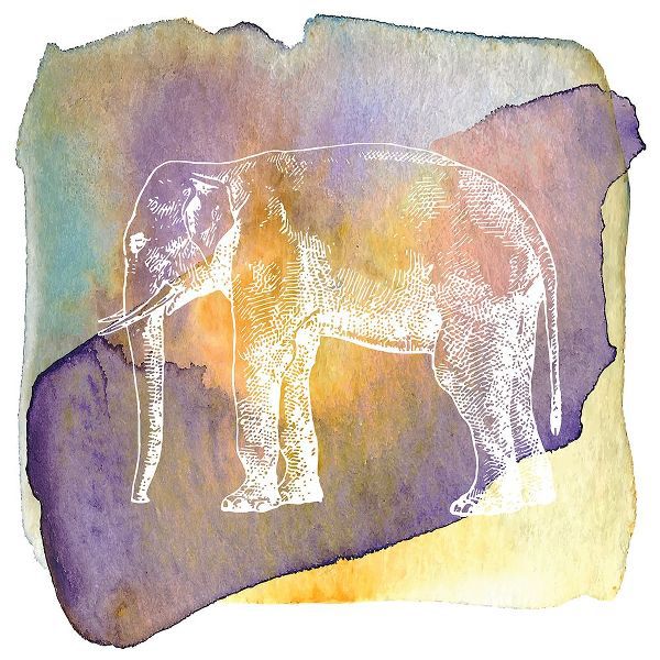 Lavoie, Tina 아티스트의 Color Spot Safari Animals elephant작품입니다.