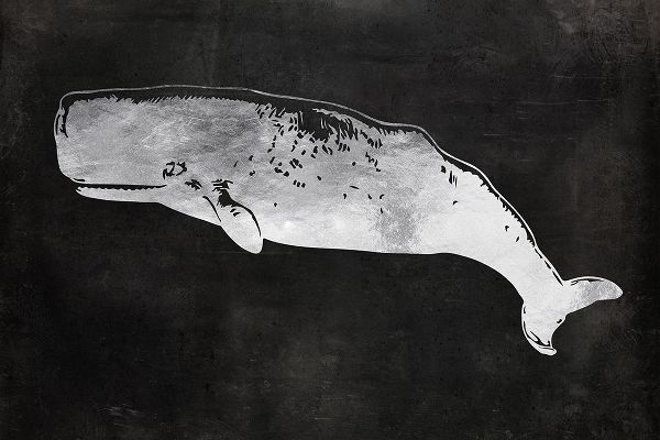 Lavoie, Tina 아티스트의 Sperm Whale작품입니다.