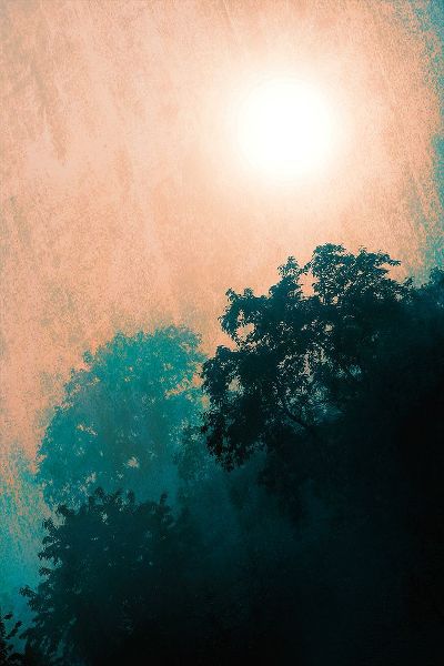 Lavoie, Tina 아티스트의 Jungle Canopy At Sunset작품입니다.