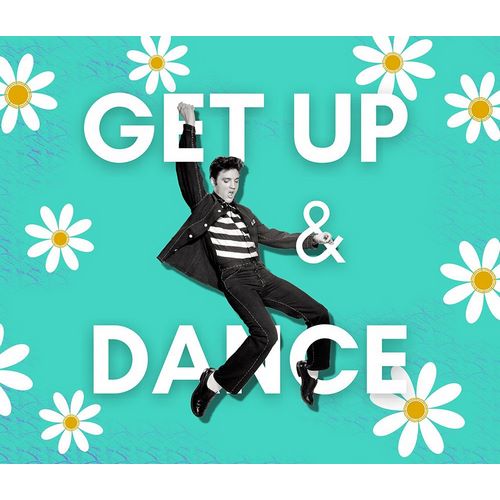 Mitchell, Tina 아티스트의 Get Up and Dance Elvis Daisy작품입니다.