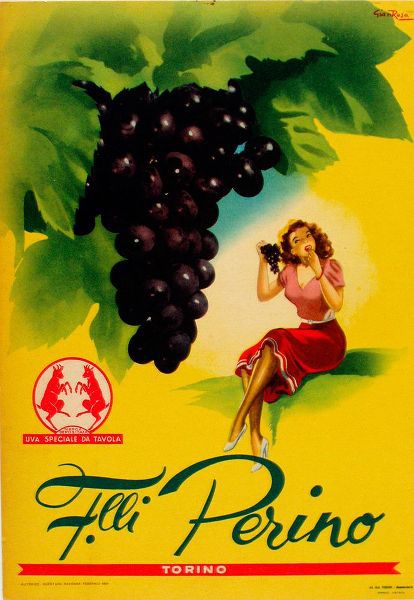 Vintage Apple Collection 아티스트의 Gianrosa 1955 - Grapes작품입니다.