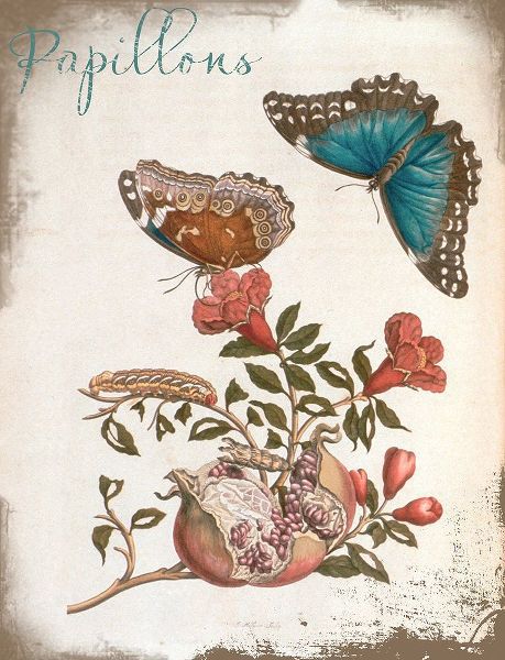 Vintage Apple Collection 아티스트의 Beautiful Papillons Ornate Exclusive작품입니다.