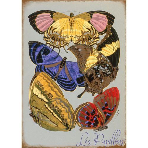 Vintage Apple Collection 아티스트의 Les Papillons Multicolor작품입니다.
