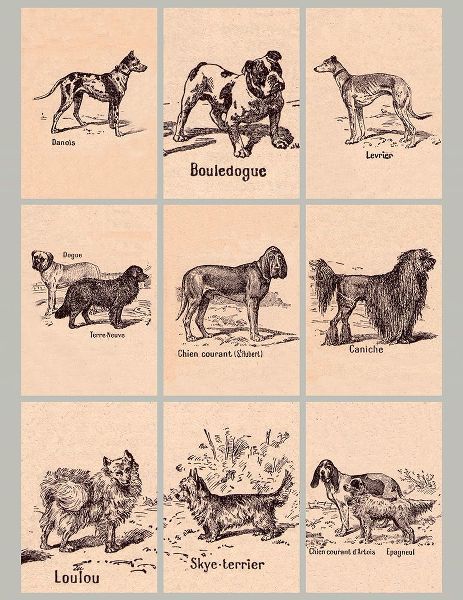 Vintage Apple Collection 아티스트의 French Dogs작품입니다.