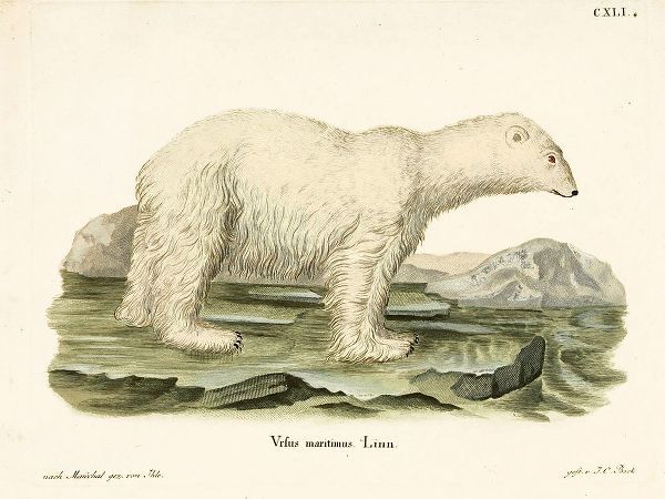 Vintage Apple Collection 아티스트의 Polar Bear. II작품입니다.