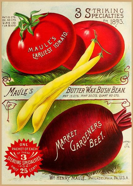 Vintage Apple Collection 아티스트의 1893 Maule Tomatoes작품입니다.