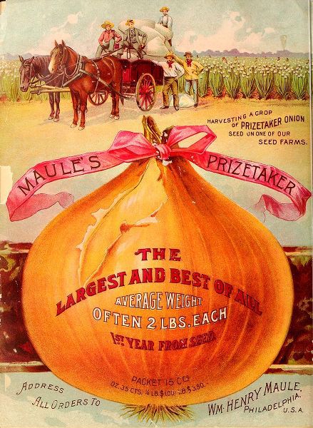 Vintage Apple Collection 아티스트의 1893 Maules Onion작품입니다.
