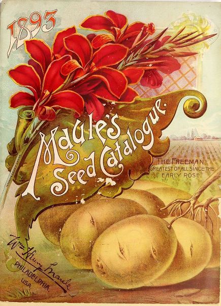 Vintage Apple Collection 아티스트의 1893 Maules Seed작품입니다.