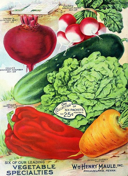 Vintage Apple Collection 아티스트의 1915 Maule Seed Veggies작품입니다.