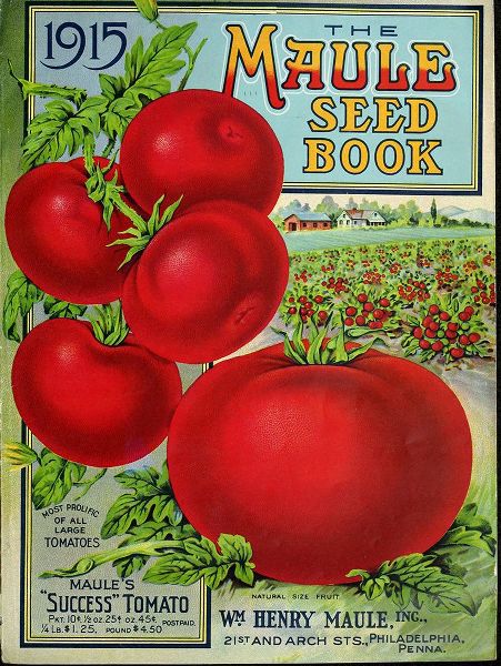 Vintage Apple Collection 아티스트의 1915 Maule Tomato작품입니다.