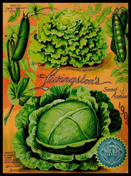 Vintage Apple Collection 아티스트의 Annual Of True Blue Lettuce작품입니다.